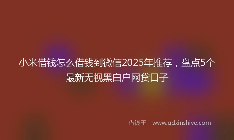 小米借钱怎么借钱到微信2025年推荐，盘点5个最新无视黑白户网贷口子