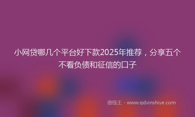 小网贷哪几个平台好下款2025年推荐，分享五个不看负债和征信的口子
