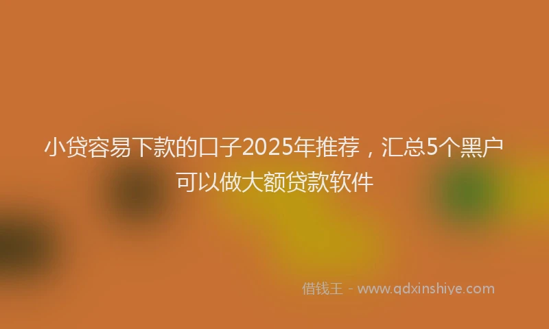 小贷容易下款的口子2025年推荐，汇总5个黑户可以做大额贷款软件