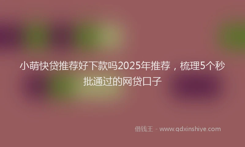 小萌快贷推荐好下款吗2025年推荐，梳理5个秒批通过的网贷口子