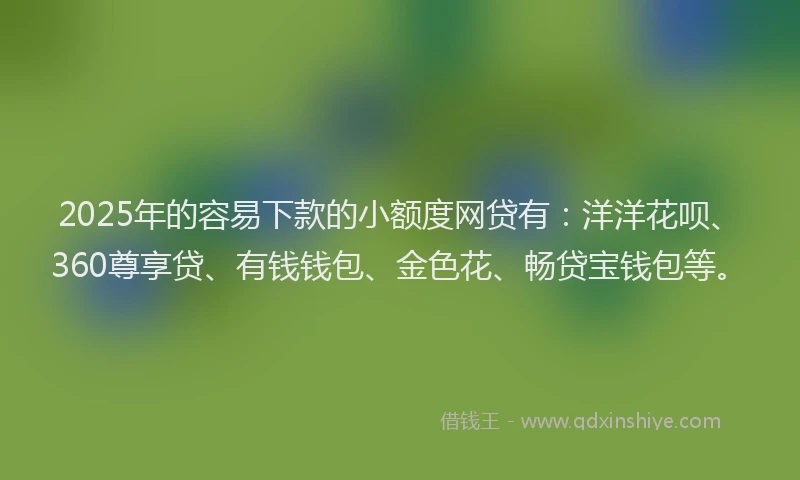 2025年的容易下款的小额度网贷有：洋洋花呗、360尊享贷、有钱钱包、金色花、畅贷宝钱包等。
