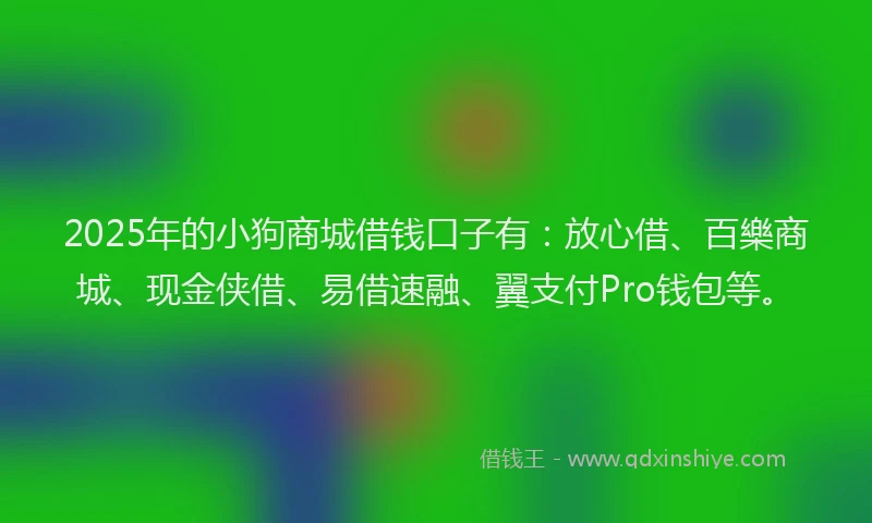 2025年的小狗商城借钱口子有：放心借、百樂商城、现金侠借、易借速融、翼支付Pro钱包等。