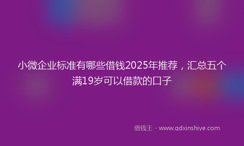 小微企业标准有哪些借钱2025年推荐，汇总五个满19岁可以借款的口子