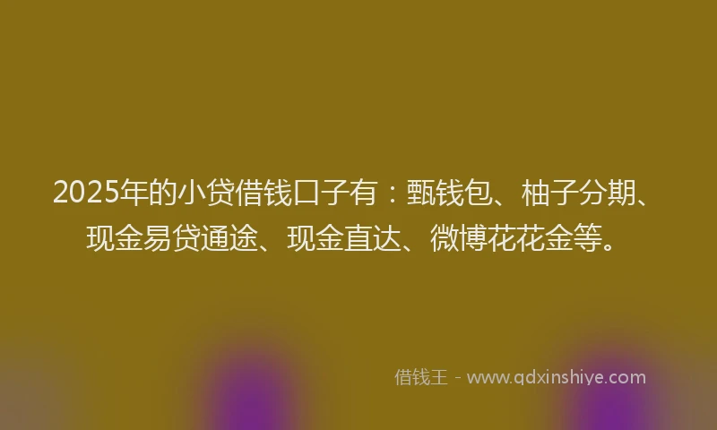 2025年的小贷借钱口子有：甄钱包、柚子分期、现金易贷通途、现金直达、微博花花金等。