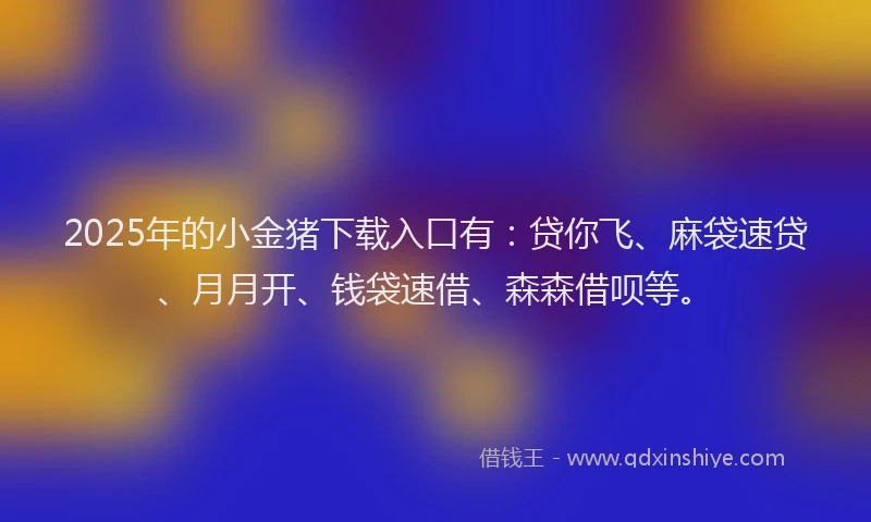 2025年的小金猪下载入口有：贷你飞、麻袋速贷、月月开、钱袋速借、森森借呗等。