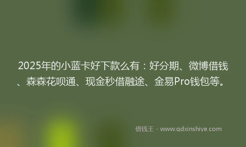 2025年的小蓝卡好下款么有：好分期、微博借钱、森森花呗通、现金秒借融途、金易Pro钱包等。
