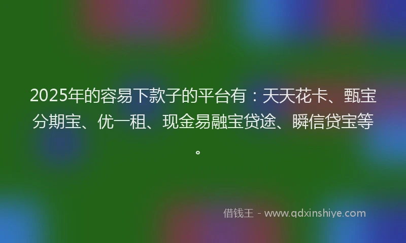 2025年的容易下款子的平台有：天天花卡、甄宝分期宝、优一租、现金易融宝贷途、瞬信贷宝等。