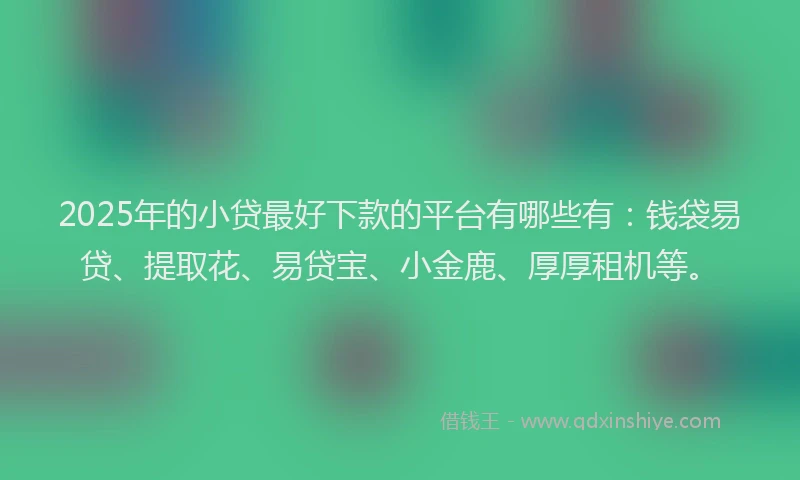2025年的小贷最好下款的平台有哪些有：钱袋易贷、提取花、易贷宝、小金鹿、厚厚租机等。