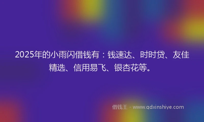 2025年的小雨闪借钱有：钱速达、时时贷、友佳精选、信用易飞、银杏花等。