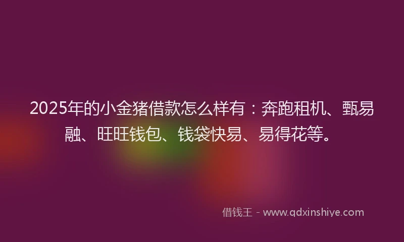 2025年的小金猪借款怎么样有：奔跑租机、甄易融、旺旺钱包、钱袋快易、易得花等。