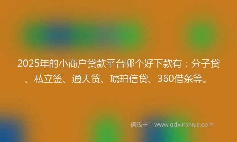 2025年的小商户贷款平台哪个好下款有：分子贷、私立签、通天贷、琥珀信贷、360借条等。