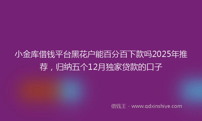 小金库借钱平台黑花户能百分百下款吗2025年推荐，归纳五个12月独家贷款的口子