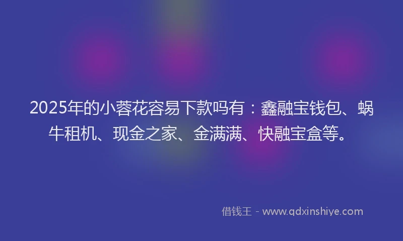 2025年的小蓉花容易下款吗有：鑫融宝钱包、蜗牛租机、现金之家、金满满、快融宝盒等。