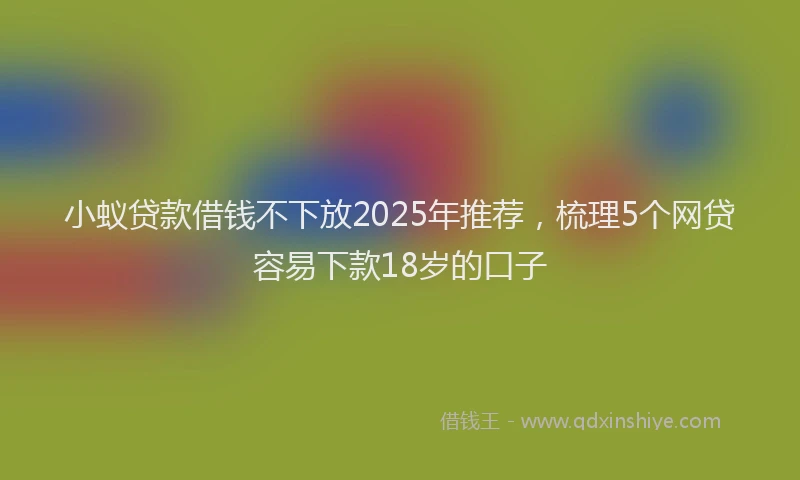小蚁贷款借钱不下放2025年推荐，梳理5个网贷容易下款18岁的口子