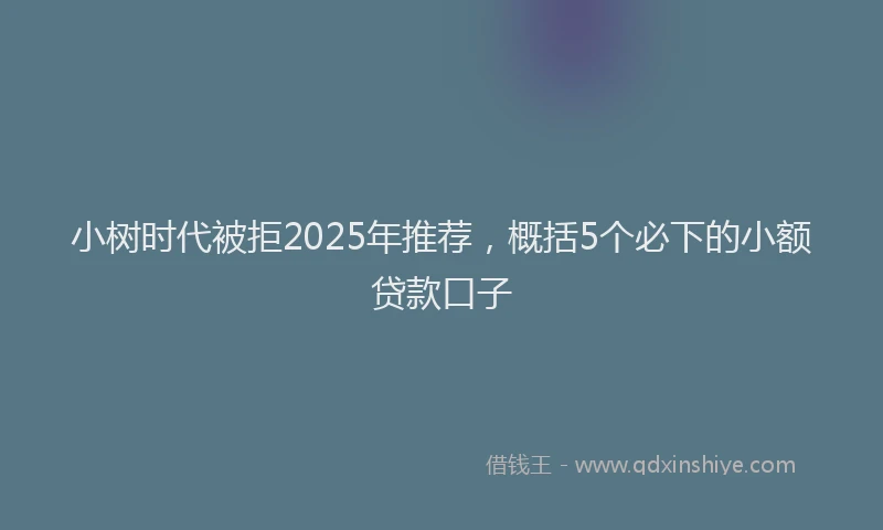 小树时代被拒2025年推荐，概括5个必下的小额贷款口子