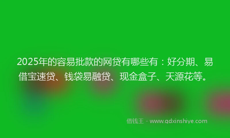 2025年的容易批款的网贷有哪些有：好分期、易借宝速贷、钱袋易融贷、现金盒子、天源花等。