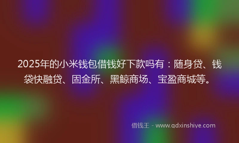 2025年的小米钱包借钱好下款吗有：随身贷、钱袋快融贷、固金所、黑鲸商场、宝盈商城等。