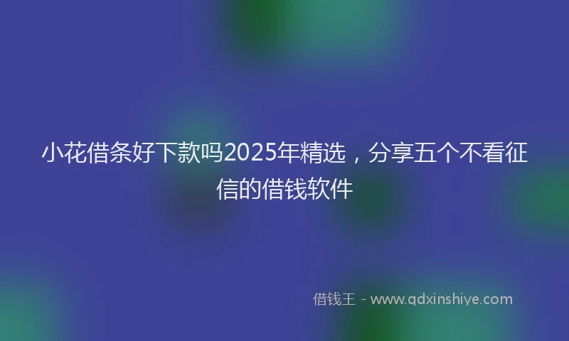 小花借条好下款吗2025年精选，分享五个不看征信的借钱软件