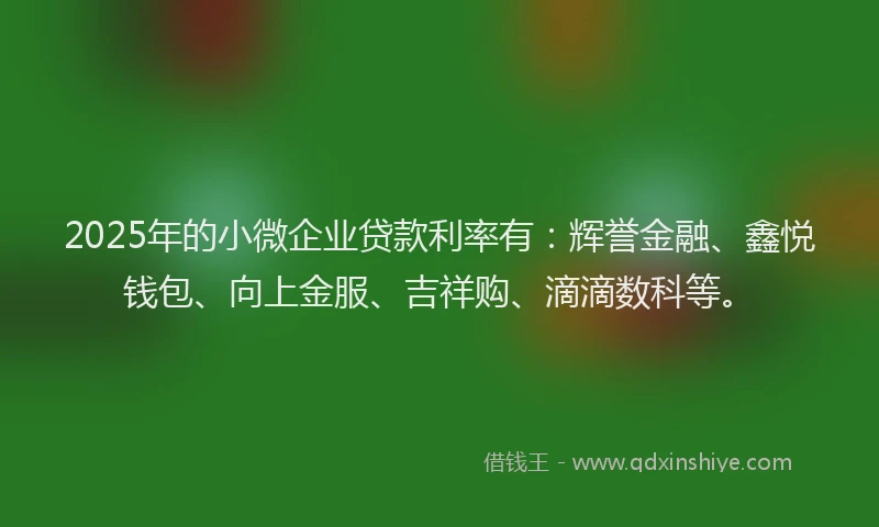 2025年的小微企业贷款利率有：辉誉金融、鑫悦钱包、向上金服、吉祥购、滴滴数科等。