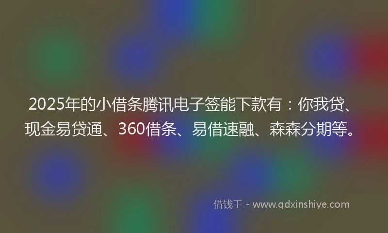 2025年的小借条腾讯电子签能下款有：你我贷、现金易贷通、360借条、易借速融、森森分期等。