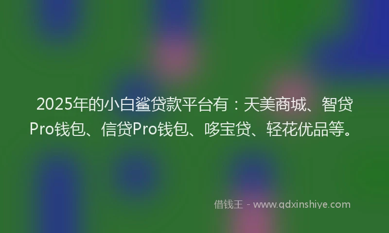 2025年的小白鲨贷款平台有：天美商城、智贷Pro钱包、信贷Pro钱包、哆宝贷、轻花优品等。