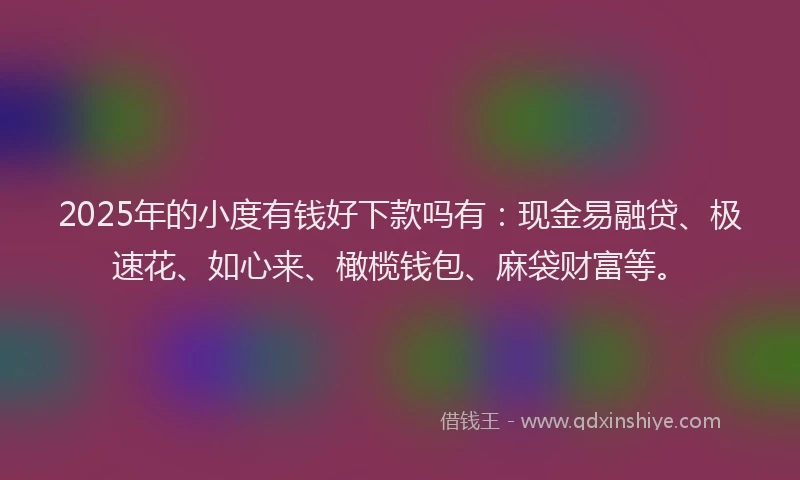 2025年的小度有钱好下款吗有：现金易融贷、极速花、如心来、橄榄钱包、麻袋财富等。