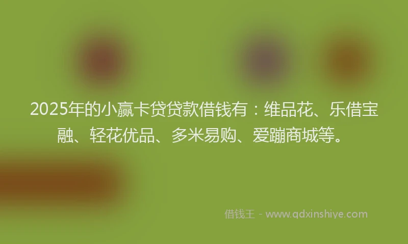 2025年的小赢卡贷贷款借钱有：维品花、乐借宝融、轻花优品、多米易购、爱蹦商城等。
