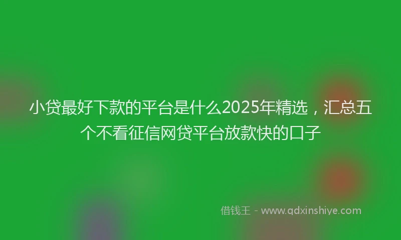 小贷最好下款的平台是什么2025年精选，汇总五个不看征信网贷平台放款快的口子