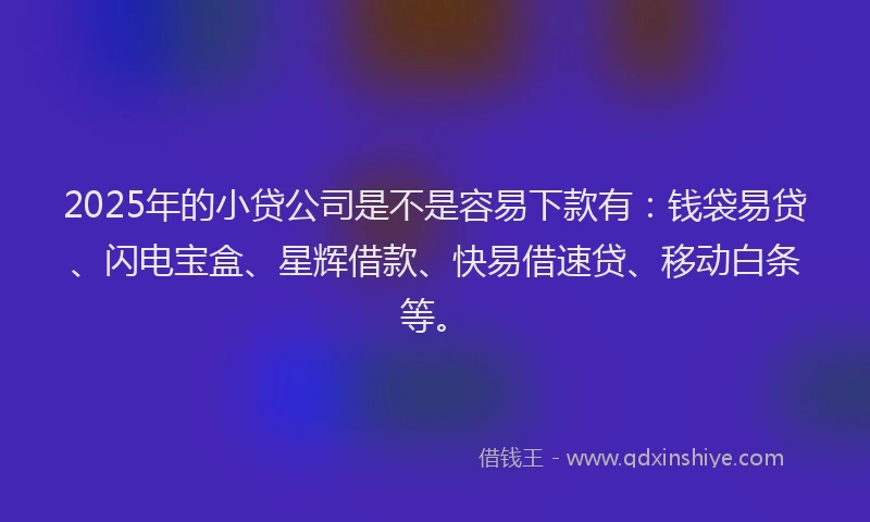 2025年的小贷公司是不是容易下款有：钱袋易贷、闪电宝盒、星辉借款、快易借速贷、移动白条等。