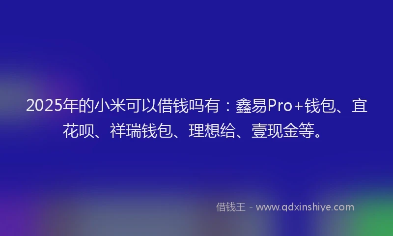 2025年的小米可以借钱吗有：鑫易Pro+钱包、宜花呗、祥瑞钱包、理想给、壹现金等。