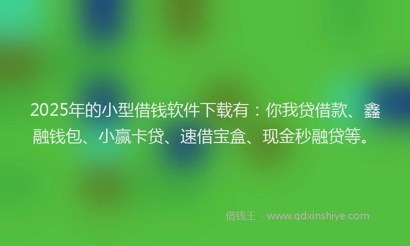 2025年的小型借钱软件下载有：你我贷借款、鑫融钱包、小赢卡贷、速借宝盒、现金秒融贷等。