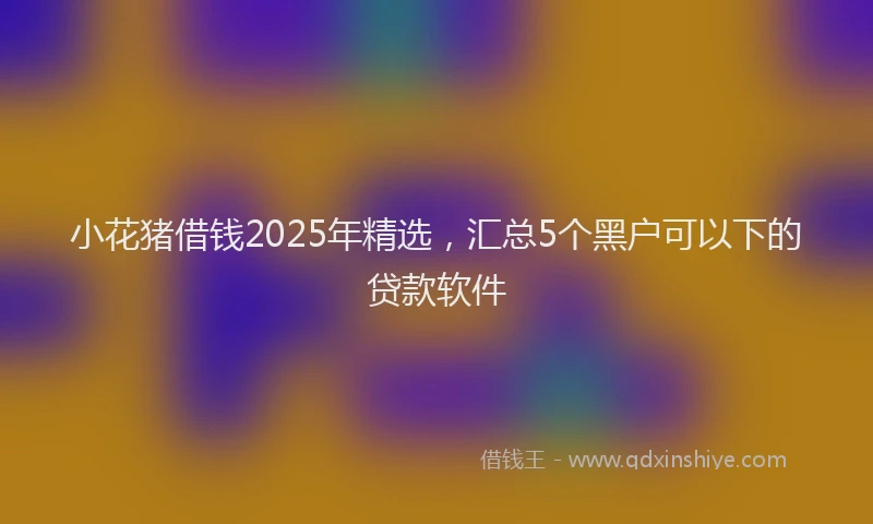 小花猪借钱2025年精选，汇总5个黑户可以下的贷款软件