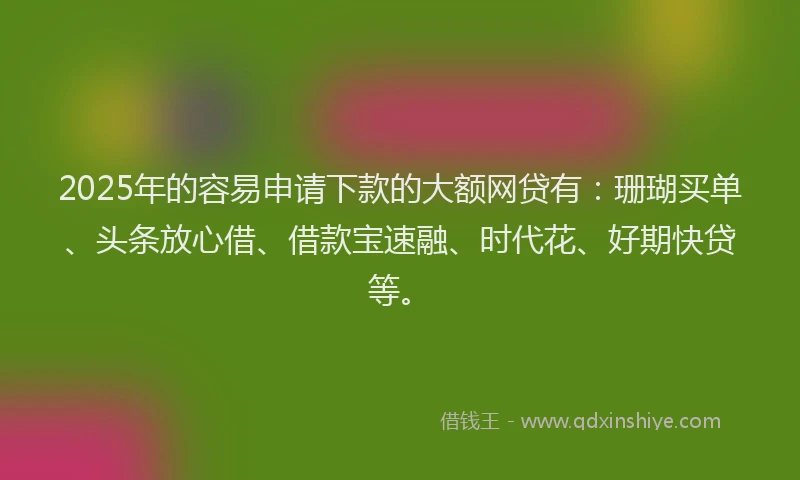 2025年的容易申请下款的大额网贷有：珊瑚买单、头条放心借、借款宝速融、时代花、好期快贷等。