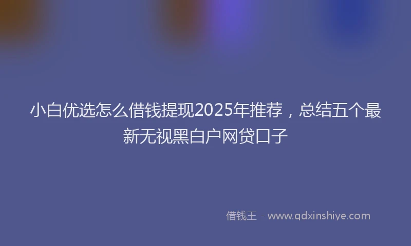 小白优选怎么借钱提现2025年推荐，总结五个最新无视黑白户网贷口子