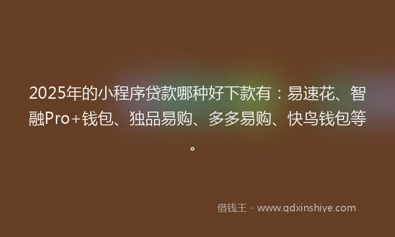 2025年的小程序贷款哪种好下款有：易速花、智融Pro+钱包、独品易购、多多易购、快鸟钱包等。