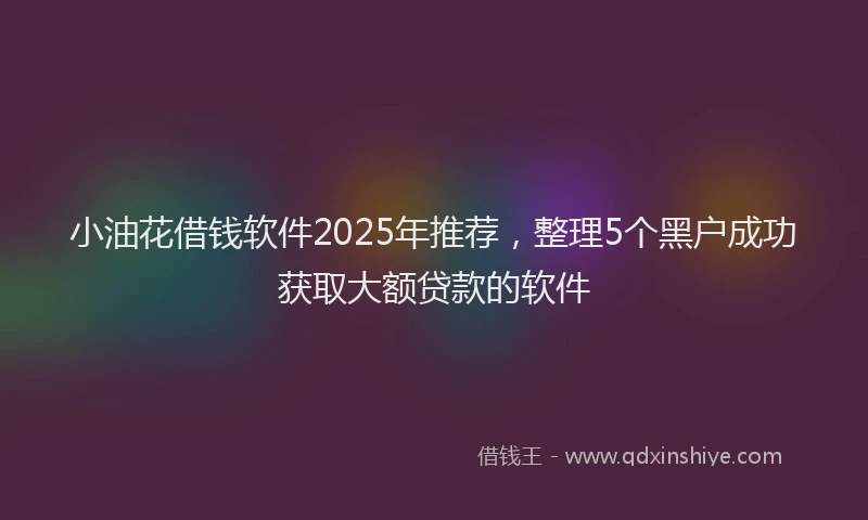 小油花借钱软件2025年推荐，整理5个黑户成功获取大额贷款的软件