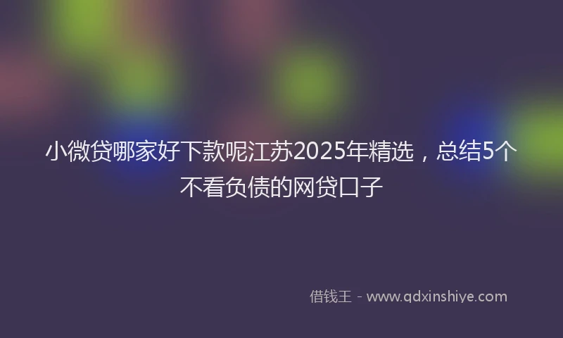 小微贷哪家好下款呢江苏2025年精选，总结5个不看负债的网贷口子