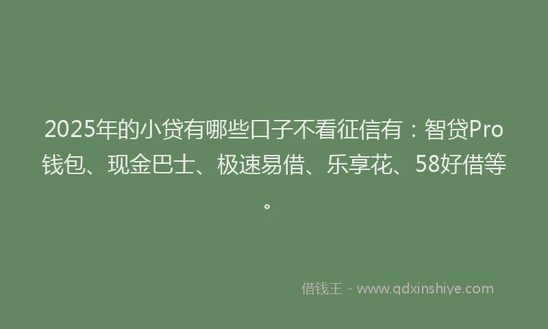 2025年的小贷有哪些口子不看征信有：智贷Pro钱包、现金巴士、极速易借、乐享花、58好借等。