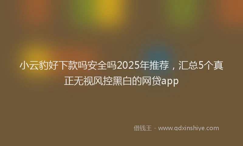 小云豹好下款吗安全吗2025年推荐，汇总5个真正无视风控黑白的网贷app