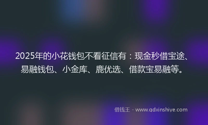 2025年的小花钱包不看征信有：现金秒借宝途、易融钱包、小金库、鹿优选、借款宝易融等。
