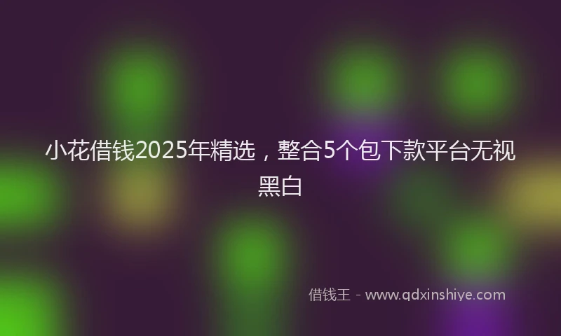 小花借钱2025年精选，整合5个包下款平台无视黑白