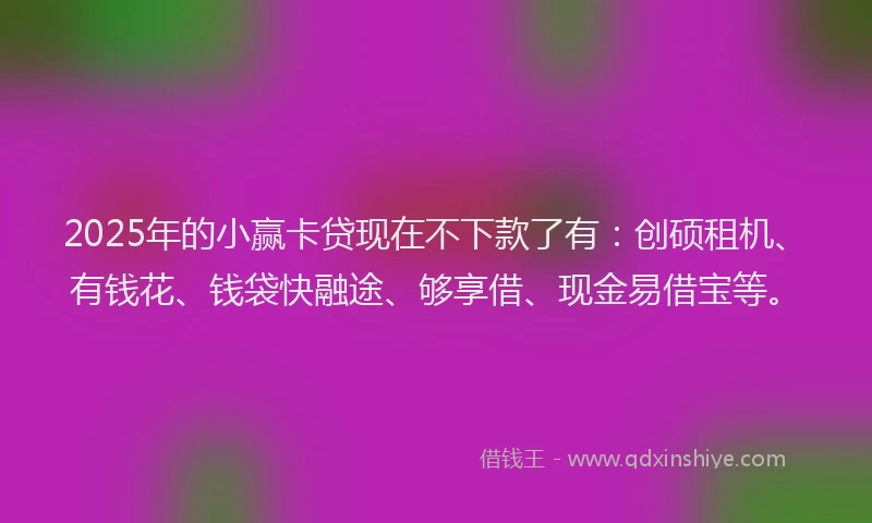 2025年的小赢卡贷现在不下款了有：创硕租机、有钱花、钱袋快融途、够享借、现金易借宝等。