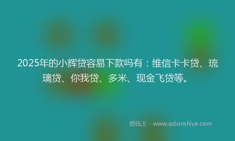 2025年的小辉贷容易下款吗有：维信卡卡贷、琉璃贷、你我贷、多米、现金飞贷等。