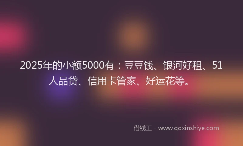 2025年的小额5000有：豆豆钱、银河好租、51人品贷、信用卡管家、好运花等。