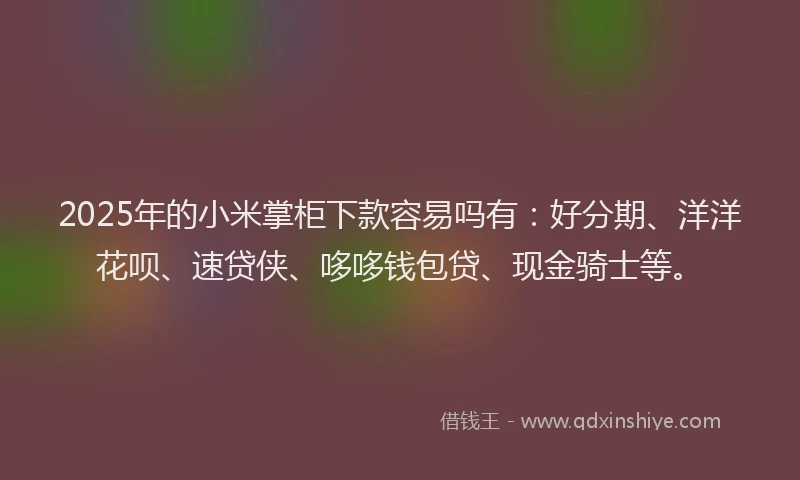 2025年的小米掌柜下款容易吗有：好分期、洋洋花呗、速贷侠、哆哆钱包贷、现金骑士等。