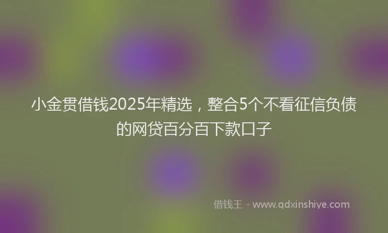 小金贯借钱2025年精选，整合5个不看征信负债的网贷百分百下款口子