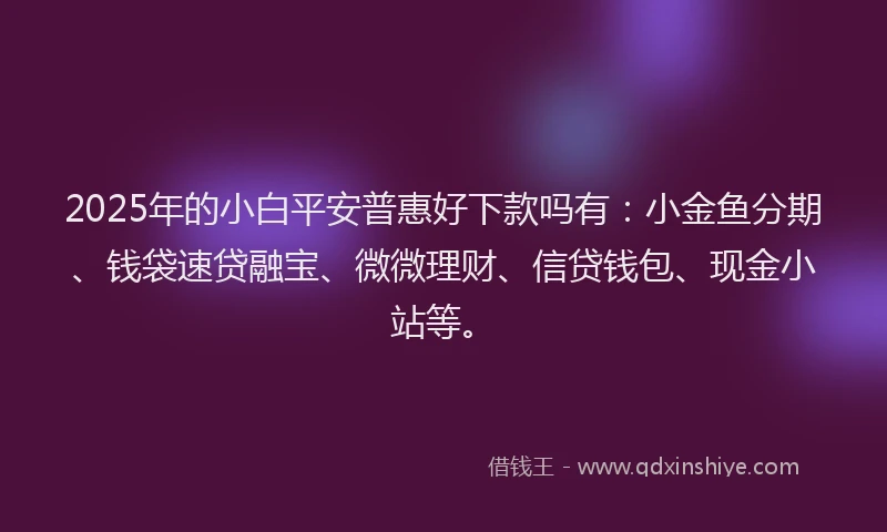 2025年的小白平安普惠好下款吗有：小金鱼分期、钱袋速贷融宝、微微理财、信贷钱包、现金小站等。