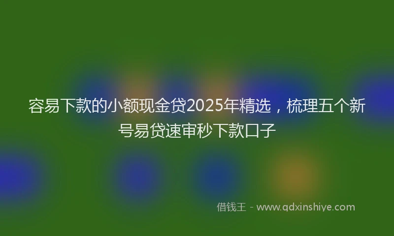 容易下款的小额现金贷2025年精选，梳理五个新号易贷速审秒下款口子