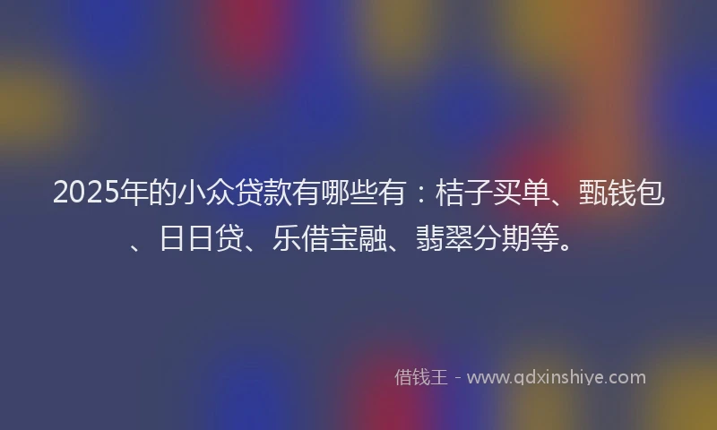 2025年的小众贷款有哪些有：桔子买单、甄钱包、日日贷、乐借宝融、翡翠分期等。