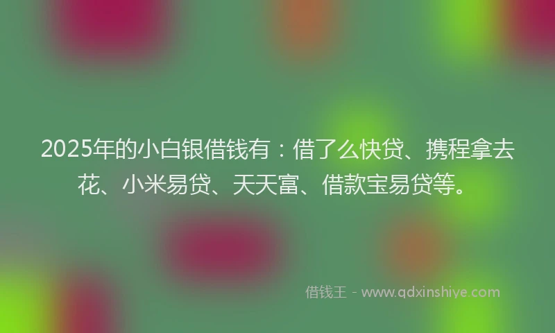 2025年的小白银借钱有：借了么快贷、携程拿去花、小米易贷、天天富、借款宝易贷等。